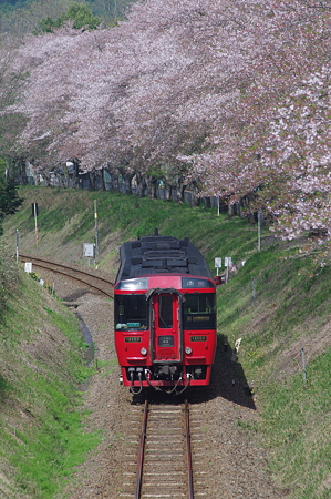 九州横断特急4号