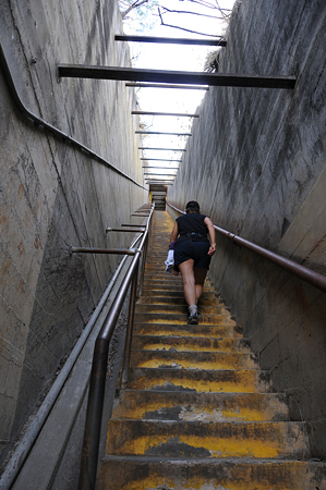 写真 10
