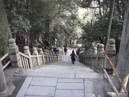 2011/11 讃岐うどんツアー-24
