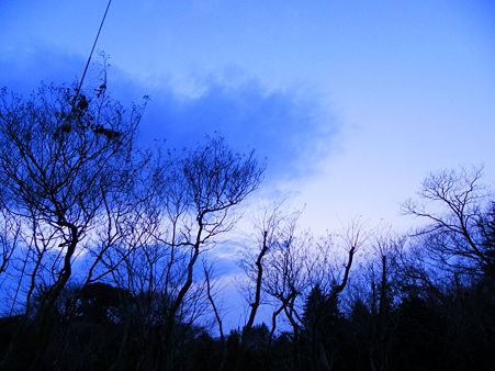 安行の空