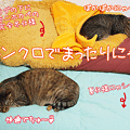 100412-【猫アニメ】シンクロでまったりにゃ。