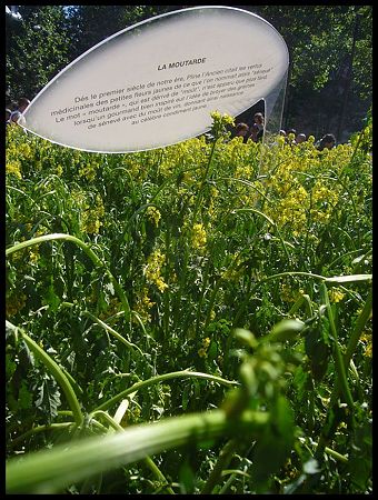 P2470104