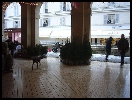 P2620288