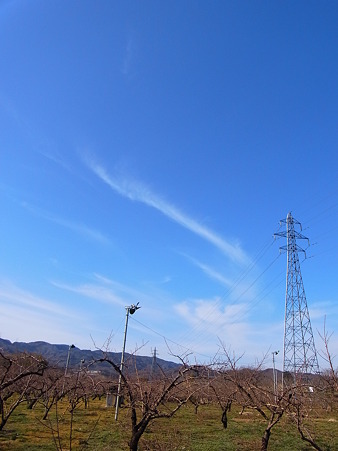 風のヴェール