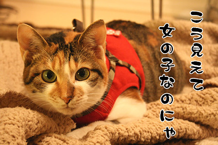 2010040201