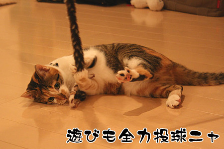2010040203