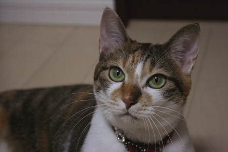 2010092301