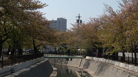 DSCN2929