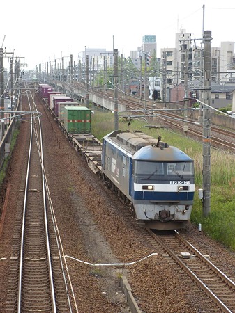 DSCN3445