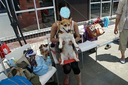 DSC00938