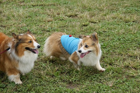 DSC04401