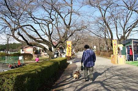 DSC04989