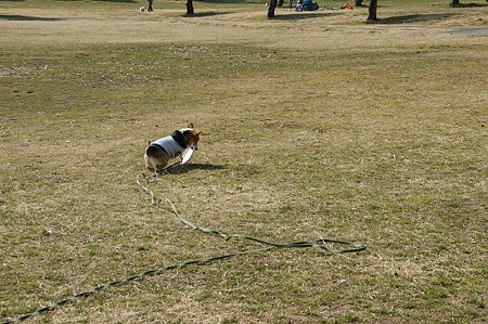 DSC08440