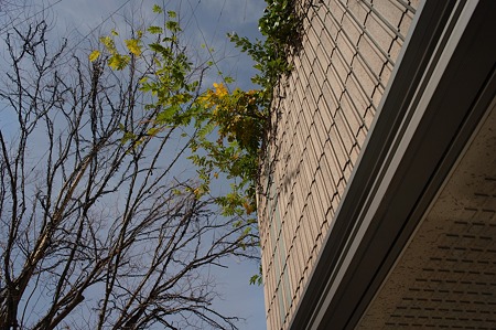 R0012010