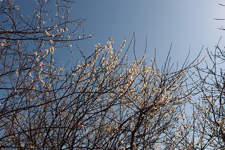P3050285