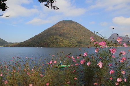 P09榛名湖と榛名山とコスモス
