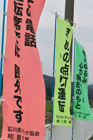3flags07022011sd15