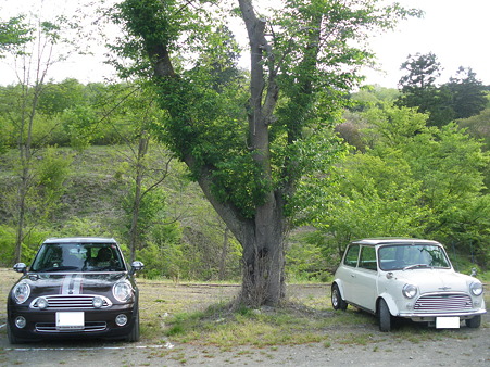 MINI&mini