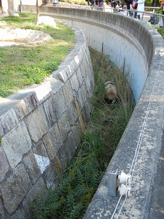DSCN2359