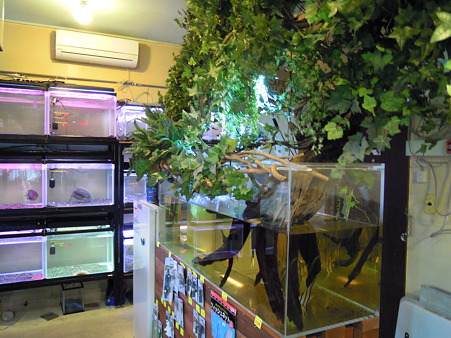2010 06/07 プチファームO2 014
