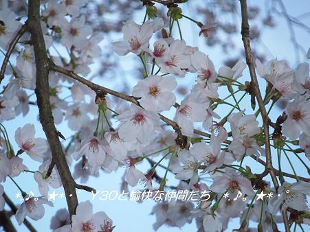 DSCF8997_pa