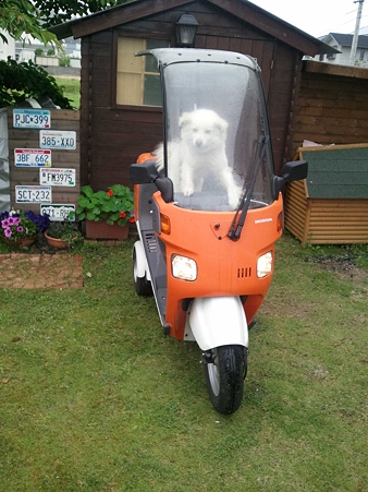 乗車
