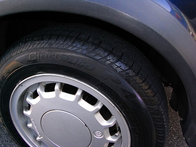 RIMG2950