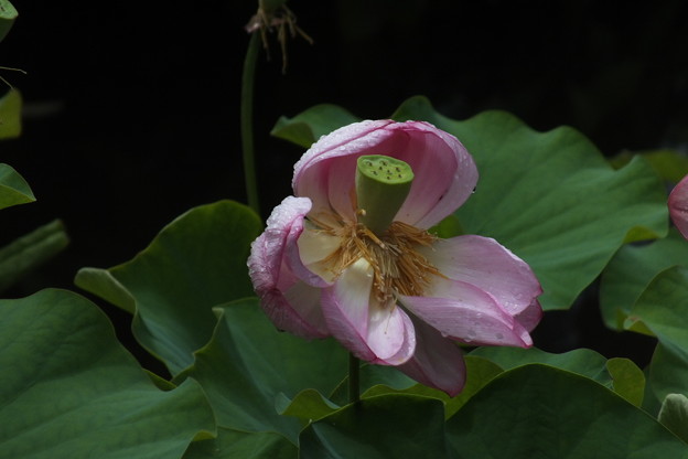 DSCF0051