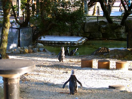 20131207 アドベン ふれあい広場03