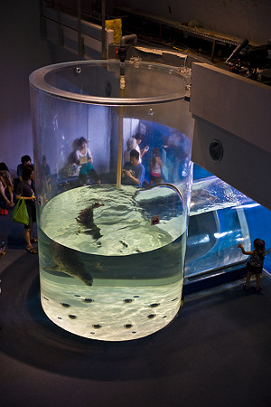 notojima100826420