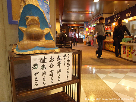 buji-kaeru