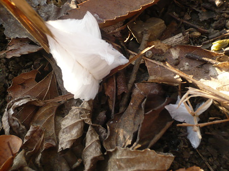 P1080938