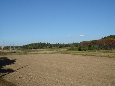 DSC04661