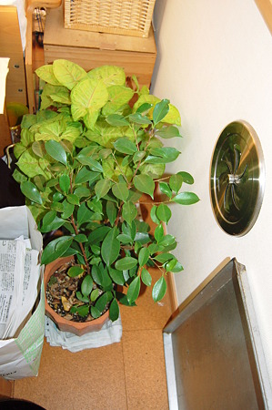 2010年11月29日_DSC_0320