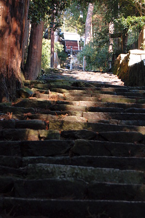 2011年01月09日_DSC_0066