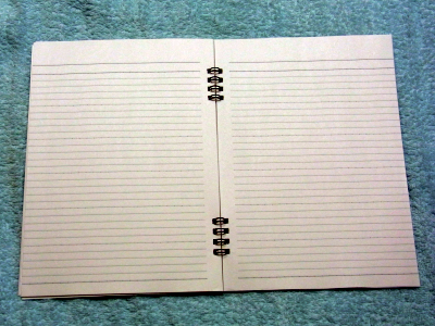 2012diary09