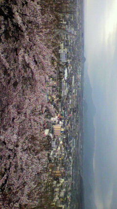 舞鶴山山頂からの眺め。若木...