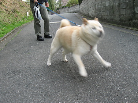 032010 005