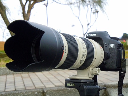 7D_with_EF70-200F2.8L