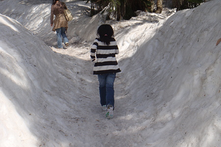 雪