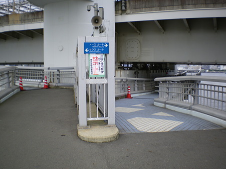 IMGP1875