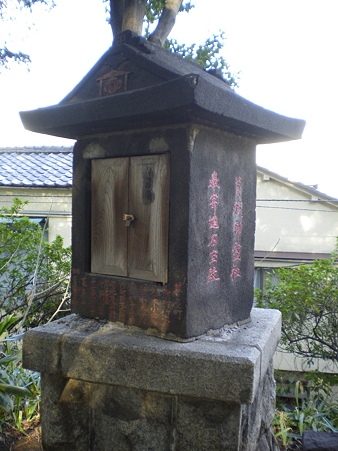 IMGP3982