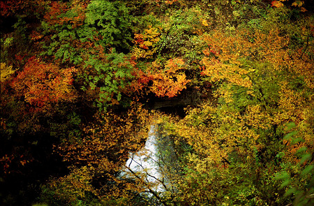 Image1363（YASHICA FRI）
