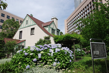 IMGP0775