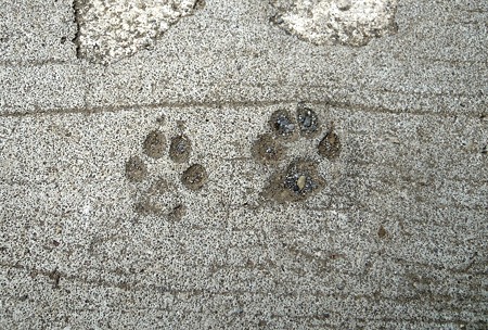 DSCN1354