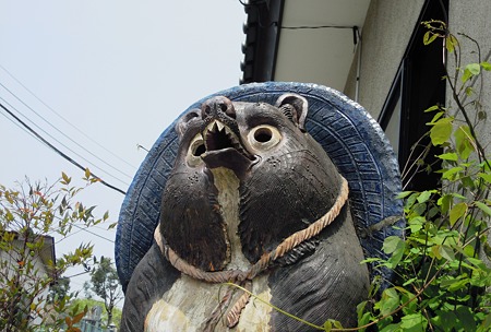 DSCN2289