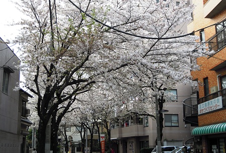 DSCN1639