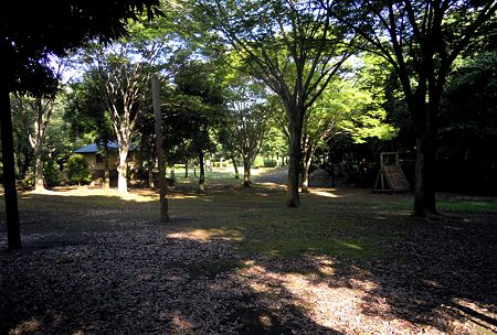 DSCN3610