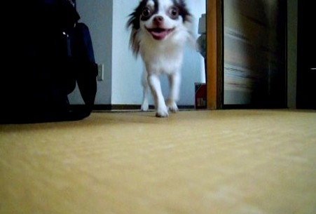 DSCN3238_0001