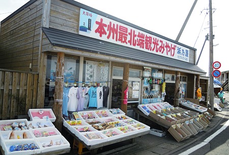 DSCN4455
